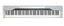 Casio Priva with X stand