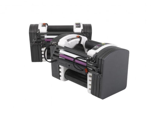 Powerblock Dumbbells