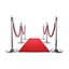 Red Carpet 10m