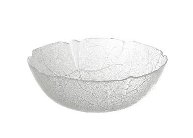 Salad Bowl 10″